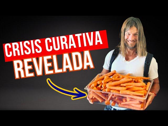 Todo Sobre La Zanahorias y La CRISIS CURATIVA, el Único Video Que Necesitas Ver!