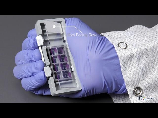 Visium Tissue Optimization Protocol | Slide Cassette Assembly
