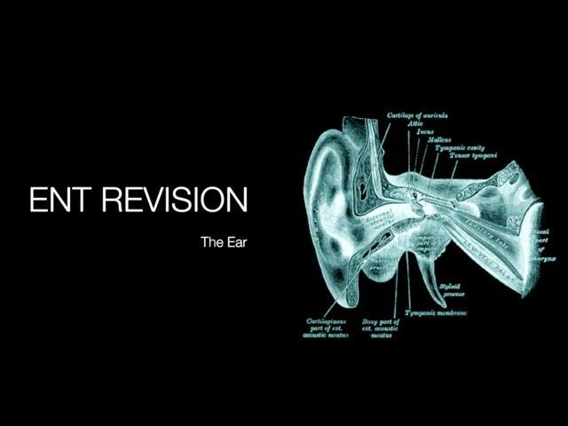 ENT Revision - The Ear