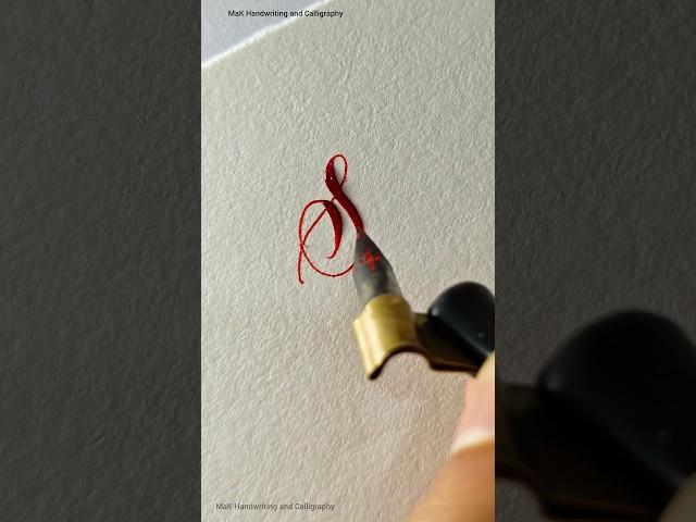 How to write letter S in Calligraphy #shorts