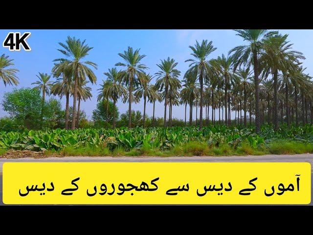 Multan to Sukkur Road Trip via M-5 Motorway | Pakistan 4K