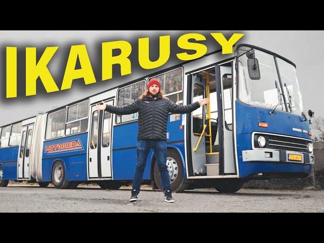 Ikarus to legenda komunikacji miejskiej - MotoBieda