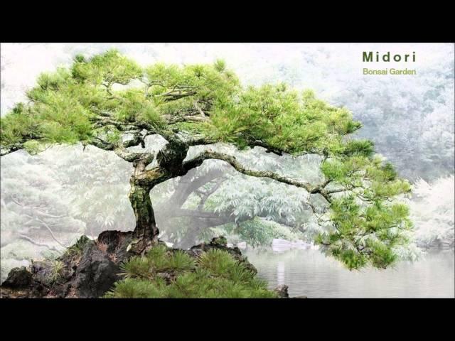 Midori - Bonsai Garden (Full Album)