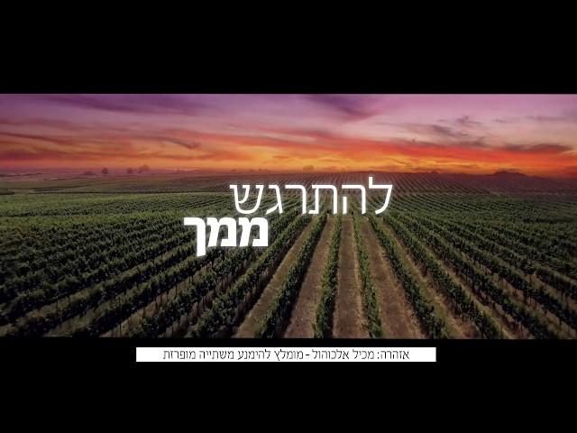יקב רמת הגולן - ארץ היין
