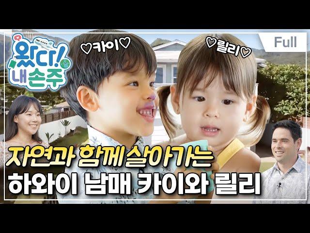 [Full] 왔다! 내 손주 - 하와이 작은 마을에서 온 꾸러기 두 손주(1)