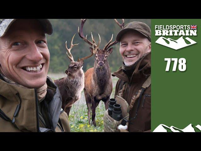 Fieldsports Britain – Irish rut double