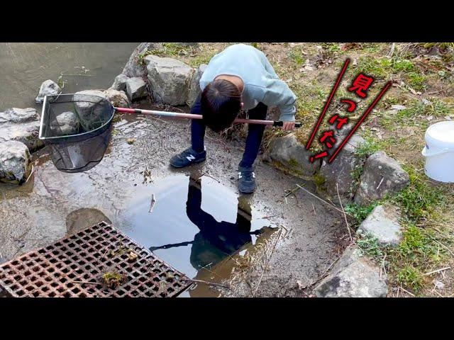 山奥で見つけた“たくさんの生き物”を飼育します