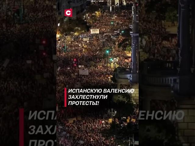 Испанскую Валенсию захлестнули протесты! #протесты #беспорядки #политика #новости #испания #митинги