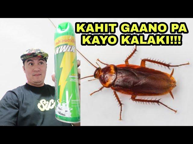 Goodbye Cockroach | KWIK Multi Insecticide Spray | Effective Test!