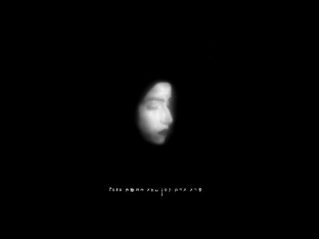 XEN - Sugar & Wine