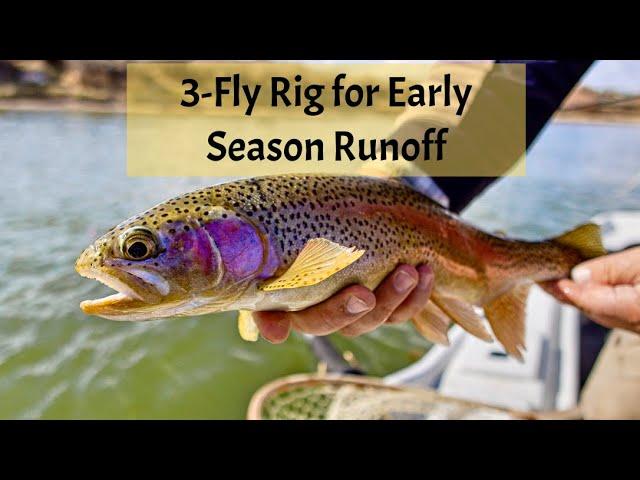 3 - Fly Rig for Runoff Season