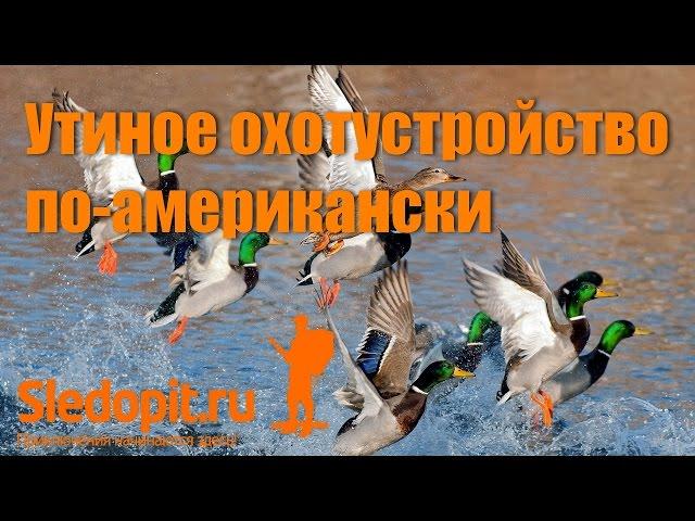 Утиное охотустройство по американски