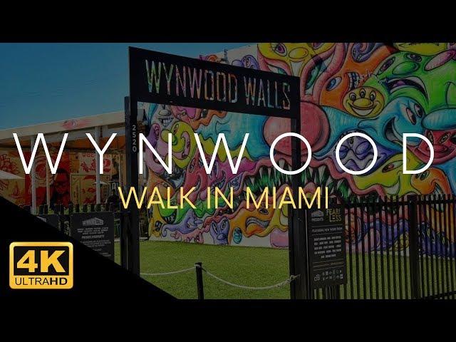 Wynwood Miami Walk 4k Full Tour Video Walls & Art