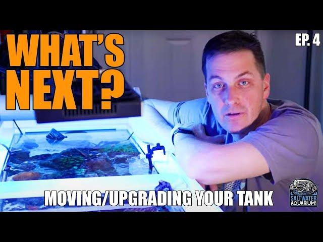 WHAT'S NEXT? Starting Over With Your Saltwater Tank - Moving & Upgrading A Saltwater Tank