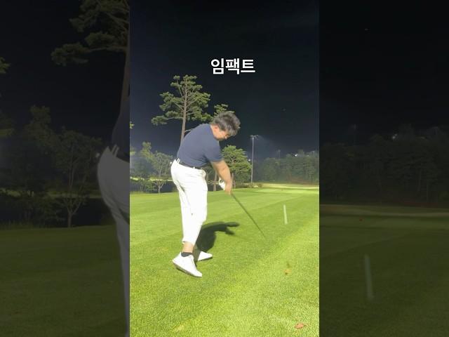 강남구 신사동, 대구 중구 수성구비거리로 스트레스 한도초과 어머님 아버님스윙과 타격을 알려드립니다 레슨 문의는 프로필 카카오톡 주세요 1번 아이언 살짝터치만 #화재임팩 #골프