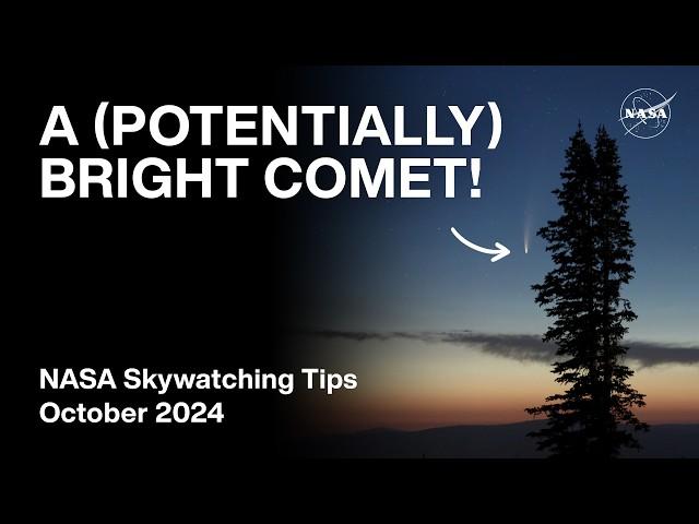 What's Up: October 2024 Skywatching Tips from NASA