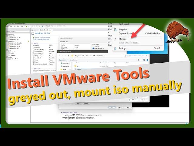 Install VMware Tools is greyed out, mount ISO manually