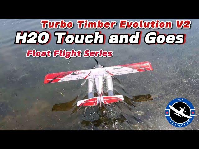 Eflite Turbo Timber Evolution V2:  H2O Touch and Goes