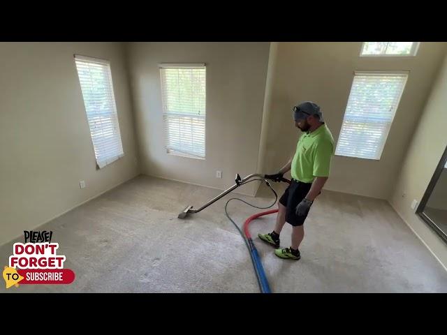 Carpet with 9 Dogs getting Cleaned! Strong Pet Odor!