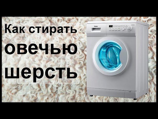 Как стирать овечью шерсть?