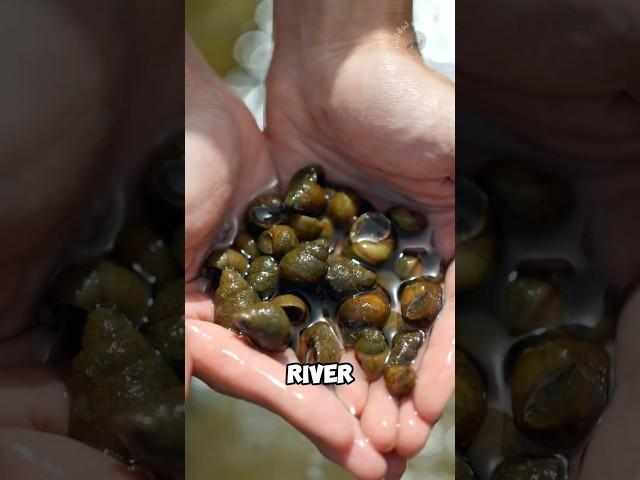 Invasive dealt with alternative measure