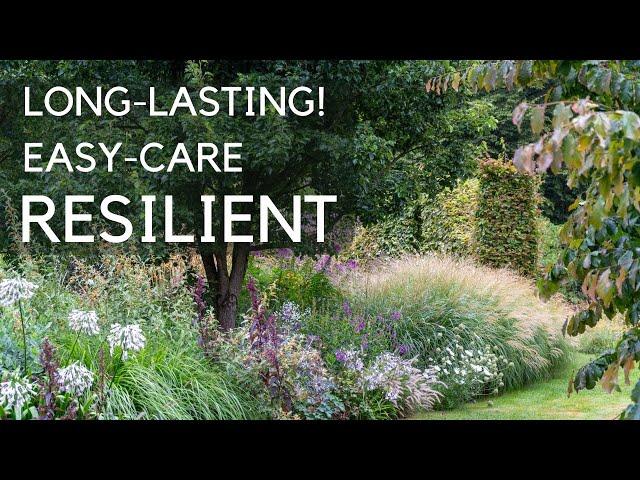 Why Ornamental Grasses Are the Secret to a Beautiful Border in 2024