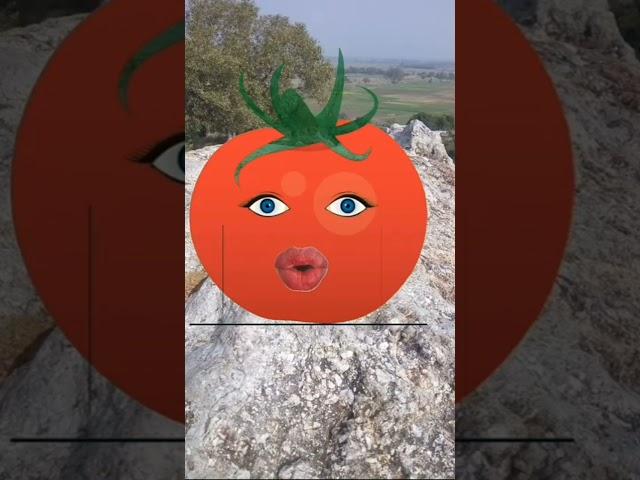 Tamater & Baingan Funny Video || Tomato || Brinjal