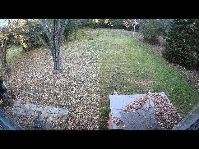 Mulching leaves time lapse