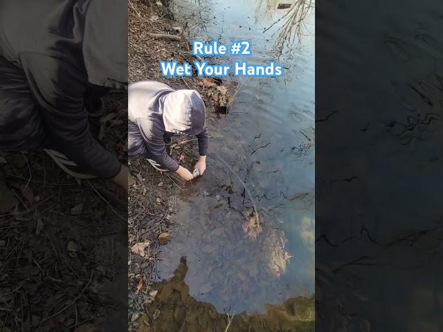 Correct Way to Catch and Release a Trout