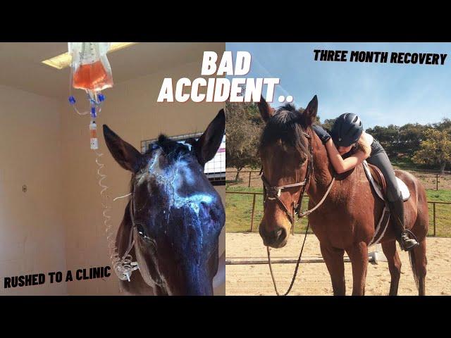 STORYTIME | Why My Horse Almost Didn't Make It...