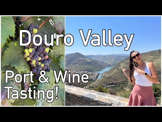 Douro Valley Wine Tasting Tour & Boat Trip on the Douro River: A Unique Experience!