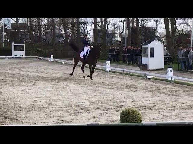 Charlotte Dujardin & Freestyle: 2 Track to the left, extended trot, collected trot