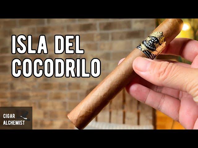 Warped Isla Del Cocodrilo Review