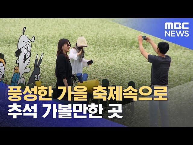 풍성한 가을 축제속으로.. 추석 가볼만한 곳 (2024.09.15/뉴스데스크/원주MBC)