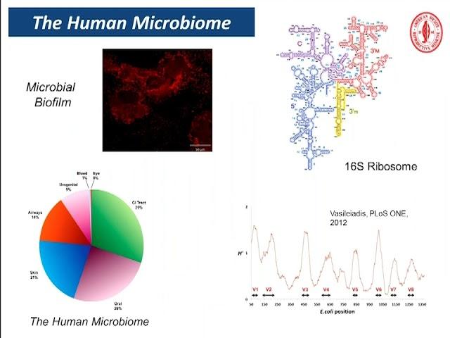 Grand Rounds - Assisted Reproductive Technology What Does the Future Hold