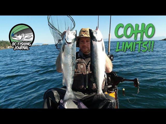 Coho LIMITS trolling off kayak on Vancouver Island