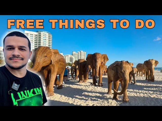 FREE Things To Do During ART WEEK MIAMI 2024!