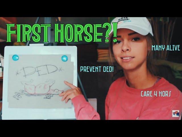 HOW TO FIRST HORSE