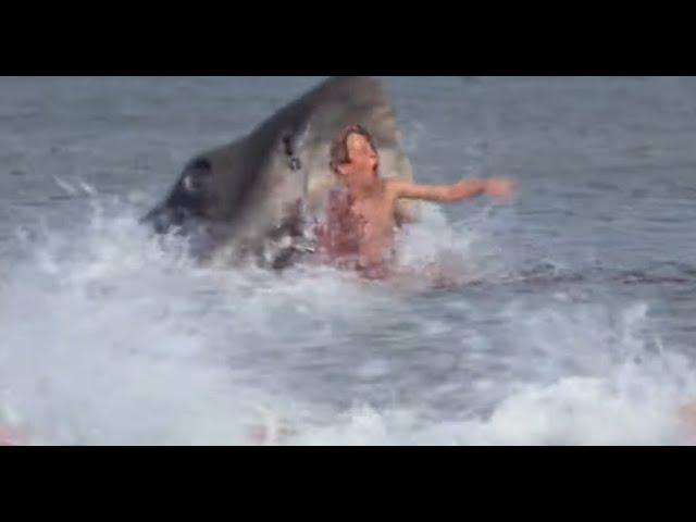 JAWS Alex Kintner Death