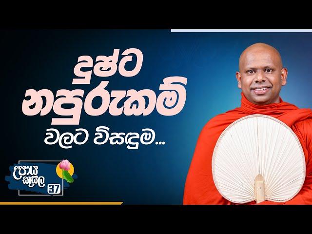 37. දුෂ්ට නපුරුකම් වලට විසඳුම.. | උපාය කුසල | Venerable Welimada Saddaseela Thero