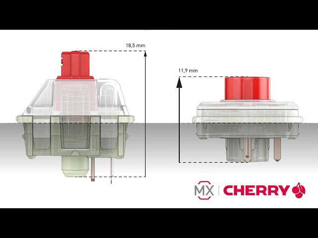 [USER EDUCATION] CHERRY MX LOW PROFILE RGB Switches in Detail