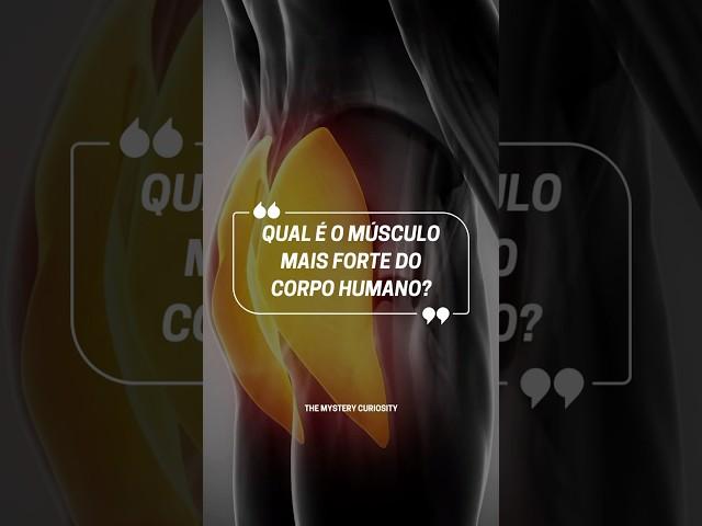 Qual é o músculo mais forte do corpo? 