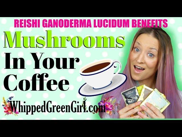 Reishi Ganoderma Lucidum Benefits