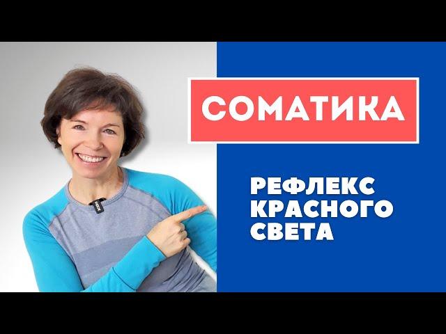 #9 Соматика. Рефлекс красного света.