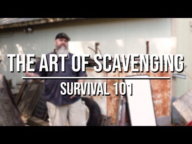 The Art of Scavenging