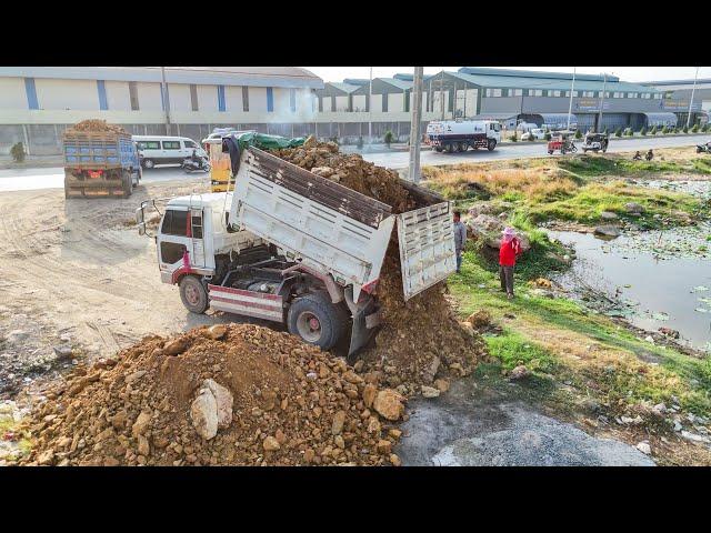 Full Video 3H Great team work Huge land by Dozer with 5Ton Dump truck  Dumping soil filling up land