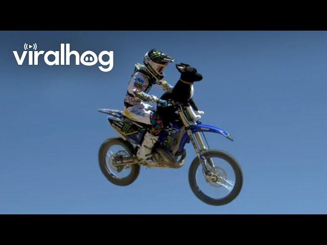 Dirt Biking with the Dog || ViralHog