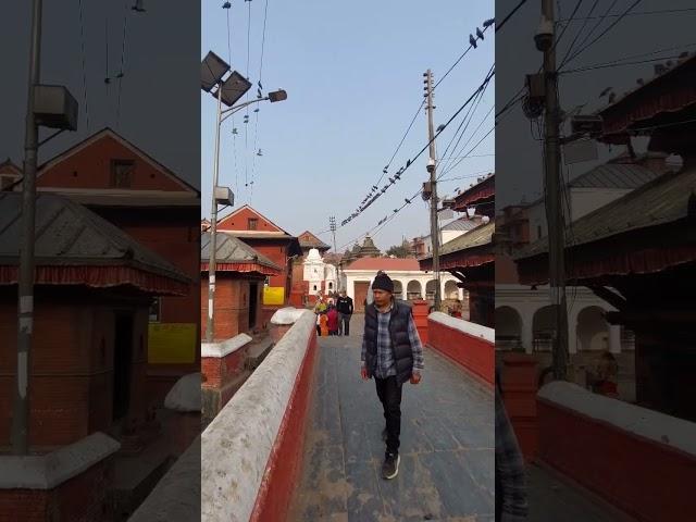 I never want to go from here. #nepal #nepalivlog #nepalvlogs #shorts