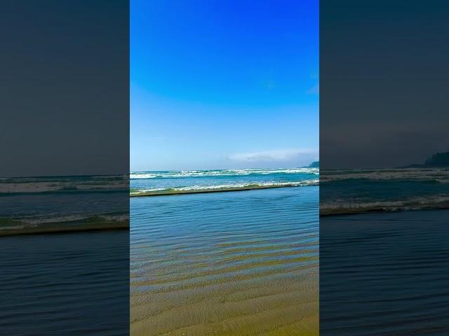 Tofino Beach - Serene Scenes