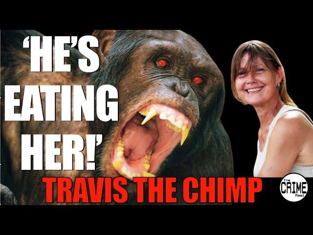 Travis the Chimp and Charla Nash Story